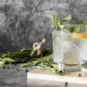 The Evolution of Vodka DrinkMata